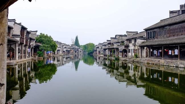 它被称为“柑桔皇后”，皮薄薄的、肉嫩嫩的，像果冻一样嫩滑